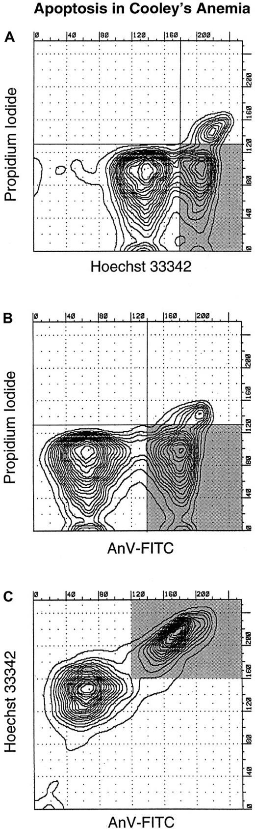 Fig. 2. Flow cytometric analysis of purified erythroid precursors from a patient with Cooley anemia. / (A) Reactivity with Hoechst 33342 on the abscissa and PI on the ordinate. The closeness of the contour lines reflects the numbers of cells reacting. There are 3 definable populations: PI reactive cells are dead; Hoechst 33342 are reactive, but PI nonreactive are apoptotic (shaded area); and the remaining cells (PI and Hoechst 33342 nonreactive) are alive and not apoptotic. Panel B is similar to A, except that FITC-AnV reactivity is recorded on the abscissa. The shaded area identifies the apoptotic population. (C) Reactivity of the erythroid precursors with FITC-AnV on the abscissa and Hoechst 33342 on the ordinate. The 2 methods identify the same apoptotic population (shaded area).
