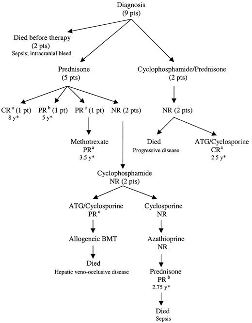 Fig. 1. Treatment outcomes of patients with aplastic anemia associated with lymphoproliferative disease of granular T lymphocytes. / CR indicates complete response; PR, partial response; NR, no response; ATG, anti-thymocyte globulin; BMT, bone marrow transplantation; and y, years. aUnmaintained, btreatment dependent,ctransient, and *duration of treatment responses until last follow-up.