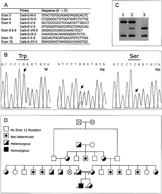 Fig. 1. Identification of W501S mutation. / (A) Primers used for sequencing of the γ-glutamyl carboxylase gene. Only primers that are different from those reported by Brenner et al12 are indicated. (B) Sequence analysis of genomic DNA from a normal control subject (W), a heterozygous patient (He), and the homozygous patient (Ho). (C) RFLP analysis of the W501S mutation, which results in loss of a BstNI site in the amplified exon 11 DNA. Lane 1, patient's DNA homozygous for the mutation; lane 2, heterozygous pattern; lane 3, normal, control. (D) Pedigree of the Lebanese family showing the segregation of the W501S mutation in the γ-glutamyl carboxylase gene.