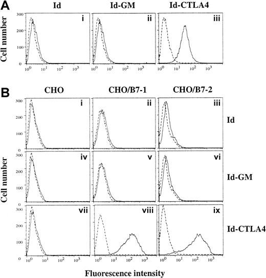 Fig. 2. Id-CTLA4 retains the binding activity for B7-1 and B7-2. / (A) DC2.4, a murine dendritic cell line, was stained with Id, Id-GM, or Id-CTLA4. (B) CHO (panels i,iv, and vii), CHO/B7-1 (panels ii,v, and viii), and CHO/B7-2 (panels iii,vi, and ix) cells were stained with Id (i-iii), Id-GM (iv-vi), or Id-CTLA4 (vii-ix). Cells were then washed and incubated with FITC-conjugated goat antihuman κ Ab. Dashed lines represent fluorescence from cells without addition of the tested Id fusion proteins.