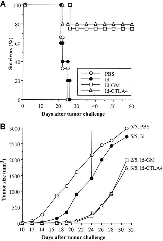 Fig. 6. Survival of mice challenged with 38C13 tumor cells. / (A) C3H/HeN mice were immunized twice subcutaneously with 50 μg of the tested Id fusion proteins or PBS alone and intraperitoneally challenged with 38C13 cells 2 weeks after the second immunization. The percentage of survivors in each group was recorded. (B) C3H/HeN mice were immunized twice intraperitoneally with 10 μg of the tested Id fusion proteins or PBS alone and subcutaneously challenged with 38C13 cells 2 weeks after the second immunization. The mean tumor volume of mice bearing a measurable tumor mass in each group was calculated. SD (bars) are only given at day 24 for clarity. The ratio of animals in each group that succumbed to tumor death is indicated.