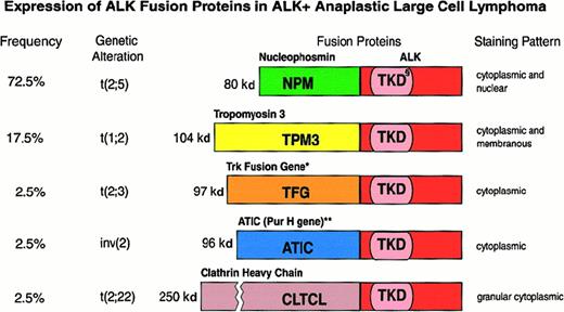 Fig. 7. Features of the various ALK fusion proteins occurring in ALK+ anaplastic large cell lymphomas. / § indicates tyrosine kinase domain of the ALK protein; *, also occurs as an 85-kd (TFG-ALK short) fusion protein; **, 5 aminoimidazole-4-carboxamide-1-beta-d-ribonucleotide transformylase/IMP cyclohydrolase.