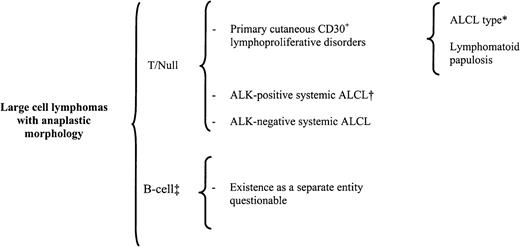 Fig. 8. Classification of primary large cell lymphoma with anaplastic morphology (ALCL). / *indicates that about 20% of ALCL-type cases may lack anaplastic features129; †, includes all the morphologic variants discussed in Table 5; ‡, in the Kiel classification, included as a separate entity, and in the REAL classification, included as a variant of diffuse large B-cell lymphoma.