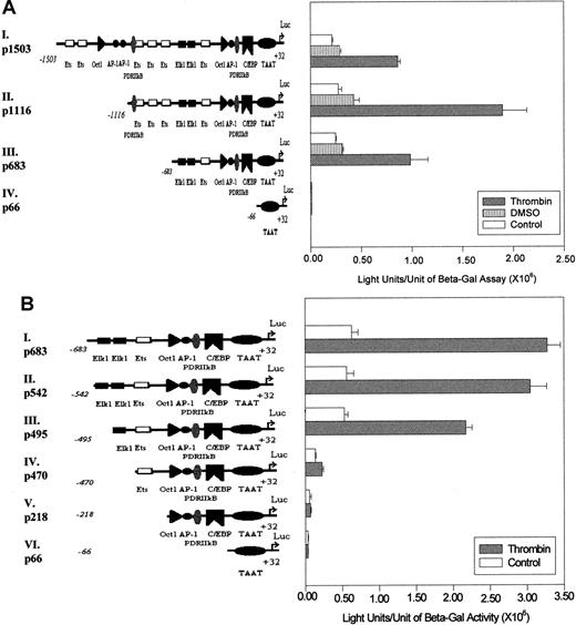 Fig. 2. Transcription driven by different 9E3/cCAF promoter constructs after thrombin stimulation. / (A) The long promoter of the 9E3/cCAF gene, −1503 to +32 bp (p1503; I), was subjected to 5′ deletions to obtain 3 additional promoter fragments as shown (II-IV). The transient transfections were performed as described in Figure 1C. p683 contains the elements necessary for basal stimulation as well as thrombin-stimulated transcription. The region between −1503 and −1116 bp may contain regulatory elements that repress gene activation by p1116, after thrombin stimulation. (B) The 5′ deletions of the p683 (II-V) were obtained by restriction enzyme digests and by PCR-based methods as described in “Materials and methods.” The transient transfections were performed as described in Figure 1C. After deletion of both Elk1 binding sites, a dramatic decrease in the response to thrombin occurred (p470, IV). The experiments shown in this figure are representative of several performed under the same conditions but with different batches of primary cells. Bars represent SEMs of 3 samples per condition in the same batch of cells.