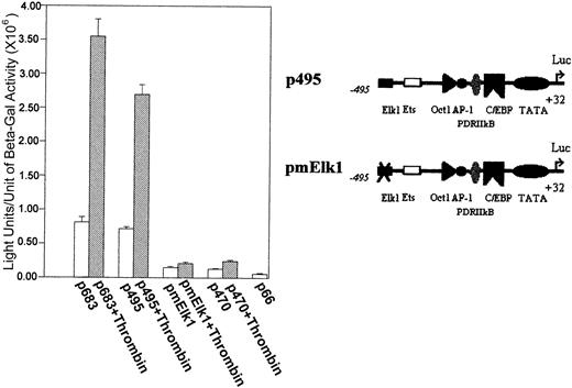 Fig. 3. Elk1 binding sites are critical for 9E3/cCAF activation by thrombin. / The transient transfections were performed as described in Figure 1C with a reporter construct lacking Elk1 binding sites; the −534 Elk1 site was deleted and the −493 site was mutated (CAGGAT to acGcgT, pmElk1). With the mutation, both the basal and stimulated transcription levels of p495 were decreased to the p470 level of activation.
