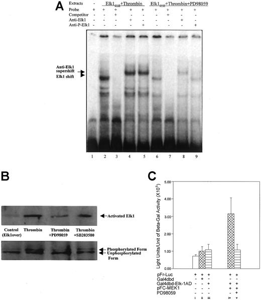 Fig. 7. Elk1 activation by thrombin occurs via MEK1/ERK2. / (A) EMSA with extracts prepared from cells overexpressing Elk1 and treated with thrombin in the absence and presence of the MEK1 inhibitor PD98059. The conditions for the reactions are described in “Material and methods.” All lanes have radiolabeled probe containing the Elk1 binding sequence present in the promoter region of 9E3/cCAF (−493 to −483 bp). Extracts from cells treated with thrombin contained factors that caused shift complexes to occur (lane 2, arrowheads). These complexes did not form when the incubation with the radiolabeled probe was done in the presence of 25-fold excess of unlabeled probe (lane 3). Extracts from cells treated with thrombin in the presence of PD98059 contained reduced amounts of factors but caused similar, albeit less pronounced, shift complexes (lane 6, arrowhead). Incubation of the extracts from lanes 2 and 6 with the radiolabeled probe in the presence of an antibody specific for the Elk1 protein (anti-Elk1) resulted in a supershift (lanes 4 and 8, arrow). However, when the extracts from lanes 2 and 6 were incubated with an antibody to the activated Elk1 (anti-Ser383 phosphor-Elk1) only the extracts from cells treated with thrombin in the absence of PD98059 resulted in a supershift (compare lanes 5 and 9). (B) Immunoblot analysis of activated Elk1 detected with anti-Ser383 phosphor-Elk1 in the presence of PD98059 or SB203580. The latter inhibitor slightly decreases thrombin-induced phosphorylation of Elk1, whereas the former prevented phosphorylation. (C) Effect of MEK1 on activation of the Elk1 transcription factor. The same heterologous expression system used in Figure 5 was used for these experiments, and the conditions for the transfections were described in the Figure 2legend. When appropriate, the pcDNA 3.1 plasmid was used to maintain the total amount of DNA transfected at 6 μg. When cells were cotransfected with 2 μg of pFR-Luc and 1 μg of the fusion protein plasmid pFA-Gal4dbd-Elk1AD, no significant activation of the reporter was observed (iii), but cotransfection of the same amounts of pFR-Luc and pFA-Gal4dbd-Elk1AD in conjunction with 1 μg of the plasmid for MEK1 overexpression, resulted in a significant activation of the reporter gene (iv). This activation was inhibited by PD98059 (v). As a negative control, transfection with pFR-Luc alone (2 μg) or cotransfections of the Gal4 DNA binding domain (Gal4dbd; 1 μg) and pFR-Luc (2 μg) were performed. These experiments were performed several times with different batches of primary cells. Here we show representative experiments. Bars represent SEMs of 3 samples/condition in the same batch of cells.