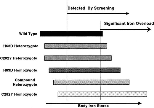 Fig. 4. Iron overload: genotype versus phenotype. / The range of possible iron stores for each genotype is schematically represented. Homozygosity for C282Y leads to the greatest amount of iron loading, but many homozygotes may have normal iron stores. Screening identifies individuals with lower body iron stores and thus a higher proportion of individuals with genotypes other than homozygous C282Y.