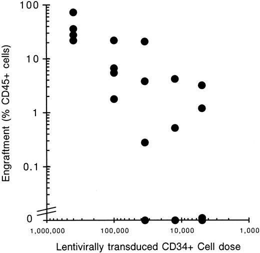 Fig. 4. Relationship between cell dose and engraftment. / The degree of cell engraftment in NOD/SCID mice is proportional to the number of transplanted human CD34+ cells. A cell–dose-limiting dilution experiment into NOD/SCID mice shows a linear relationship between cell dose and engraftment levels. Lentivirally transduced CD34+ cells were transplanted into NOD/SCID recipients and the bone marrow mononuclear cells analyzed 6 weeks later by FACS using antibodies directed against human CD45 to detect human cells. Four mice underwent transplantation with the following cell doses and the percentage of CD45+ cell plotted against cell dose: 400 000, 100 000, 35 000, 12 500, and 5000.