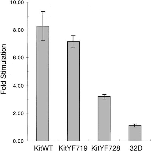 Fig. 6. Stimulation of 32D infectants with mSLF on X9/D3 stromal cells. / 32D infectants were cocultured with mSLF-expressing X9/D3 stromal cells. KitWT, KitYF719, KitYF728, and 32D uninfected cells were incubated with X9/D3 cells for 18 hours, followed by a 6 hours3H-thymidine pulse. Cells were then harvested and incorporated counts were determined by scintillation counting. Fold stimulation represents stimulation of cells on X9/D3 cells compared with stimulation observed on SLF-negative parental Sl/Sl4cells according to the formula in “Materials and methods.” Incorporation levels for fibroblasts alone were typically 9000 to 10 000 cpm, whereas cocultures resulted in 12 000 to 19 000 cpm depending on the cell type. Error bars represent the standard error determined from triplicate measurements.