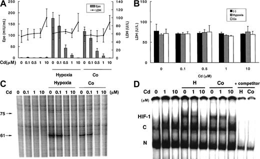 Fig. 1. Effects of Cd at the indicated doses in Hep3B cells with or without exposure to hypoxia (1% O2) or Co (100 μM). / (A) EPO protein production and cell viability at 24 hours. (B) Cell viability at 6 hours. (C) EPO mRNA expression at 6 hours. (D) DNA binding activity of hypoxia inducible factor-1 (HIF-1) at 6 hours. In C, RNase protection revealed 2 bands of protected EPO mRNA (75 bp and 61 bp). In D, the specificity of HIF-1 bands (H) and constitutive bands (C) was confirmed by the addition of excess unlabeled W18 oligonucleotide as a competitor for HIF-1 binding. N indicates nonspecific band. Data in A and B are expressed as mean ± SD of 3 independent experiments. Results in C and D are representative of 3 independent experiments.