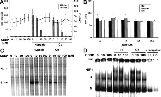 Fig. 2. Effects of CDDP at the indicated doses in Hep3B cells with or without exposure to hypoxia or Co. / (A) EPO protein production and cell viability at 24 hours. (B) Cell viability at 6 hours. (C) EPO mRNA expression at 6 hours. (D) DNA binding activity of hypoxia inducible factor-1 (HIF-1) at 6 hours. Experimental conditions were as described in the legend to Figure 1.