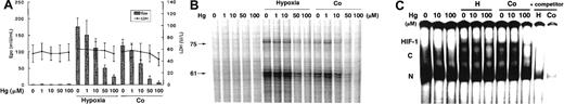 Fig. 3. Effects of Hg at the indicated doses in Hep3B cells with or without exposure to hypoxia or Co. / (A) EPO protein production and cell viability at 24 hours. B) EPO mRNA expression at 6 hours.(C) DNA binding activity of hypoxia inducible factor-1 (HIF-1) at 6 hours. Experimental conditions were as described in the legend to Figure 1.