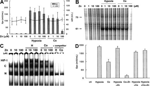 Fig. 4. Effects of Zn at the indicated doses in Hep3B cells with or without exposure to hypoxia or Co. / (A) EPO protein production and cell viability at 24 hours. (B) EPO mRNA expression at 6 hours. (C) DNA binding activity of hypoxia inducible factor-1 (HIF-1) at 6 hours. (D) Effect of zinc (Zn) (100 μM) on either hypoxia (1% O2), cobalt (Co) (100 μM), or both stimulants on induced EPO protein production in Hep3B cells for 24 hours. Data are expressed as mean ± SD of 3 independent experiments. Experimental conditions were as described in the legend to Figure 1.