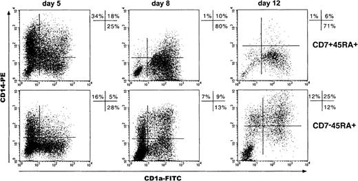 Fig. 7. Kinetics of CD1a and CD14 expression by cells of SP (CD7−45RA+) and DP (CD7+45RA+) HPC cultures. / Results are 2-color fluorescence plots of cells taken on different days, labeled with CD1a-FITC and CD14-PE mAbs, and FACS analyzed. Quadrants were set according to control mAb labeling. Data and percentages are from 1 experiment of 4, 8, and 6 on days 5, 8, and 12, respectively.