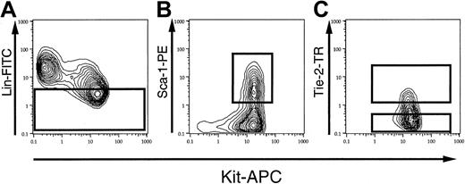Fig. 1. Tie-2 expression on KSLA fetal liver cells. / After panning with AA4.1 antibody, the cells were stained with FITC–anti-lineage markers, PE–anti-Sca-1, APC–anti-Kit, and biotinylated anti–Tie-2, followed by streptavidin-Texas Red. (A) The gate for lineage-negative or -low (lin−/low) cells upon FACS analysis. Lin−/low cells consisted of 37.4% ± 2.1% (mean ± SE, n = 8) of AA4.1-enriched cells. (B) Kit-positive, Sca-1–positive cells among lin−/lowAA4.1+ cells. (C) The sorting gates for Tie-2–positive (T+ KSLA) and Tie-2–negative (T− KSLA) cells.