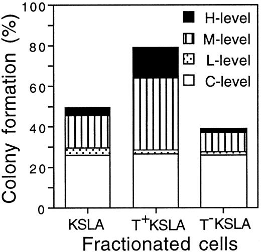 Fig. 3. Colony formation of KSLA, T+ KSLA, and T− KSLA cells. / A single-cell culture of a total of 240 cells was performed for each KSLA, T+ KSLA, and T− KSLA cell population. C-, L-, M-, and H-level cells formed colonies consisting of fewer than 50, 50 to 100, 100 to 104, and more than 104cells, respectively. C-level cells represented 25.8% ± 12.1%, 26.7% ± 11.6%, and 25.8% ± 3.6% (mean ± SD, n = 3) of KSLA, T+ KSLA, and T− KSLA cells, respectively. L-level cells represented 3.6% ± 0.5%, 1.7% ± 1.7%, and 1.7% ± 1.7% of KSLA, T+ KSLA, and T− KSLA cells. M-level cells represented 15.8% ± 2.2%, 35.6% ± 5.9%, and 9.7% ± 2.7% of KSLA, T+ KSLA, and T− KSLA cells. H-level cells represented 4.4% ± 1.9%, 15.3% ± 4.9%, and 1.9% ± 2.1% of KSLA, T+ KSLA, and T− KSLA cells.