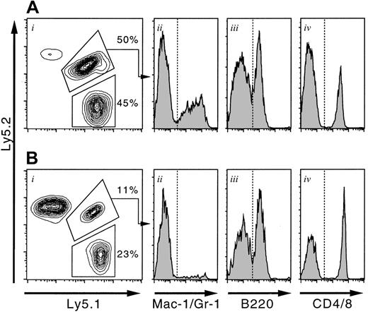 Fig. 4. Reconstitution analysis of the adult and newborn recipients. / Ten T+ KSLA cells (B6-F1) and 2 × 105 bone marrow cells (B6-Ly5.1) were mixed and transplanted into either irradiated adult or conditioned newborn mice. Twelve weeks after transplantation, peripheral blood cells of the recipients were analyzed on a FACS. The representative results for adult (A) and newborn (B) recipients are shown. F1-type cells, presenting both Ly5.1 and Ly5.2 antigens, were derived from T+ KSLA cells. Ly5.1-type cells were derived from bone marrow competitor cells. Note the large number of host-derived cells (Ly5.2 type) in the case of a newborn recipient (Bi). Myeloid (Aii and Bii), B-lymphoid (Aiii and Biii), and T-lymphoid (Aiv and Biv) cells are present within the gate of fetal liver–derived cells (F1 type).