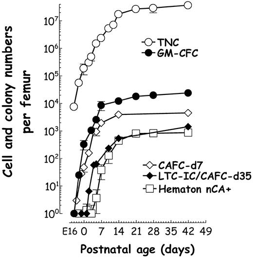 Fig. 2. Expansion of marrow cells and emergence of the hematon during perinatal ages. / The femoral inner mass was recovered from 8 to 12 embryos or little mice. Half of each tissue was used to prepare a single-cell suspension for quantitative colony assays and the other half to count hematons and native cobblestone colonies at day 7 in LTC. The numbers of TNC (○), total GM-CFC and HPP-CFC (●), and day 7 CAFC (⋄) increased logarithmically from E17. Day 35 LTC-IC/CAFCs (♦) appear at day 2, and hematon units containing native CA (■) emerge from days 5 to 7.