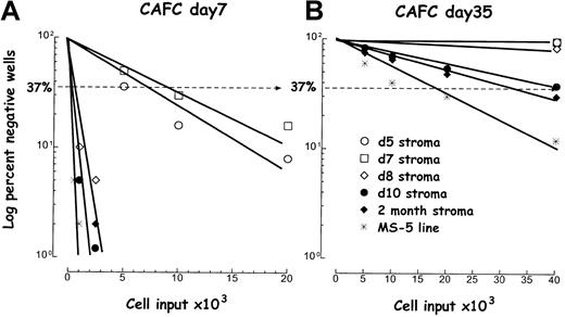 Fig. 5. Age-related gain of stromal cell competence. / Stromal layers were prepared from the femur at different ages, then their capacity to support day 7 CAFC and day 35 LTC-IC/CAFC from normal marrow was compared using LDA. Single-cell suspensions of reporter cells were seeded in 24 replicates at each of the 4 dilutions. Log percentage of wells negative for CAFC are plotted against initial cell input and 1× values were intrapolated at the −37% value. (A) Day 7 CAFC. (B) Day 35 LTC-IC/CAFC. Symbols represent stromal cells prepared at different postnatal ages: day 5 (○), day 7 (■), day 8 (⋄), day 10 (●), 2 months (⧫). The MS-5 cell line (*) was used as a control reference.