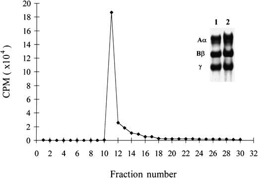 Fig. 2. Elution of bound protein from immobilized VEGF. / 125I-fibrinogen (1.0 mg/mL) was passed through a 1-mL column of Sepharose-immobilized VEGF. Following washing, the column was eluted with 2 mg/mL unlabeled fibrinogen, and fractions of 200 μL were collected. Approximately 90% of the bound radioactivity eluted in fraction 10 to 12. These fractions were pooled, and an aliquot was electrophoresed on a 7% SDS-PAGE gel and used to prepare autoradiograms (inset). The polypeptide chain pattern in the eluted pool showed Aα, Bβ, and γ chains of fibrinogen and was similar to that in the starting material.