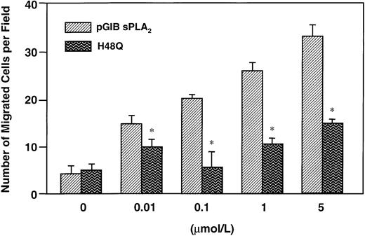 Fig. 7. Effect of wild-type or H48Q mutant pancreatic sPLA2 on EC migration. / BAECs were placed on the upper compartment of a Transwell chamber. Wild-type porcine pancreatic sPLA2 (pGIB sPLA2) or a mutated pGIB sPLA2 (H48Q) were placed in the lower compartment of the Transwell chamber at concentrations of 1 μmol/L. Migration assay was carried out for 2 hours at 37°C. Quantitation of the migrated cells was performed by counting nuclei from 4 random fields (× 40) for each filter. Bars represent the mean ± SE from triplicate determination of a representative experiment. Asterisk indicates statistical significance (P < .001 versus wild-type pGIB sPLA2-induced migration).