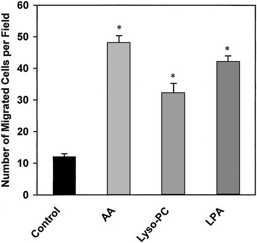 Fig. 9. Effect of AA, LPA, and lyso-PC on EC migration. / BAECs were placed on the upper compartment of a Boyden chamber. AA (10 μmol/L), LPA (0.5 μmol/L), and lyso-PC (1 μmol/L) were placed in the lower compartment. Migration was carried out for 1 hour at 37°C. The number of migrated cells was determined as described in “Material and methods.” Bars represent the mean ± SE of 3 independent experiments. Asterisk indicates statistical significance (P < .005 versus control).