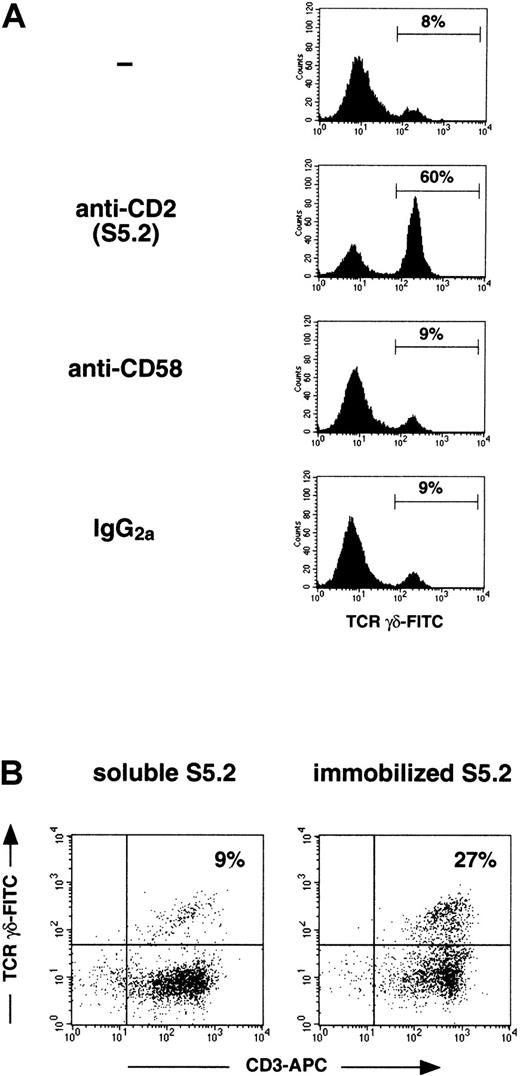Fig. 3. Anti-CD2 mAb S5.2 induces γδ–T-cell expansion through an agonistic and not a blocking interaction with CD2. / (A) Anti-CD2 mAb S5.2 does not induce γδ–T-cell expansion by disrupting a CD2–CD58 interaction. Mitogen-stimulated PBMC cultures were initiated as described above, now with the inclusion of IL-12 (day 0, IFN-γ, IL-12; day 1, OKT3 and IL-2). On day 0, either PBS (−), mAb S5.2 (mouse IgG2a), antihuman-CD58 mAb L066.4 (mouse IgG2a), or mouse IgG2a isotype control was added separately to identical cultures. After 14 days, cultures were analyzed using FACS. Viable T cells were first identified by gating on the CD3-PE+ and PI− populations. Percentage of T cells staining with an anti-γδ-TCR–FITC mAb is shown in each histogram. Results are representative of experiments performed using materials obtained from at least 3 different persons. (B) Immobilized, but not soluble, anti-CD2 mAb S5.2 can induce γδ–T-cell expansion in mitogen-stimulated, monocyte-depleted PBMC cultures. Monocyte-depleted PBMC cultures were initiated as described above, stimulated on day 0 with IFN-γ, IL-12, and either soluble or plastic-immobilized mAb S5.2. Twenty-four hours later (day 1), cultures were mitogenically stimulated with IL-2 and plastic-immobilized OKT3. After 21 days, cultures were analyzed using FACS; the percentage CD3-APC+/γδ-TCR-FITC+ cells in each dot plot was indicated. Immobilized or soluble IgG2a (isotype control for mAb S5.2) had a minimal effect on γδ–T-cell expansion (not shown). Results are representative of experiments performed using materials obtained from at least 3 different persons.