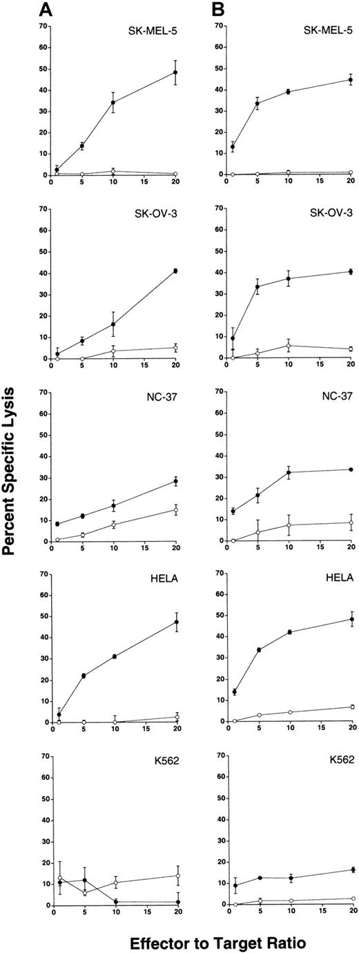 Fig. 8. Antitumor activity of apoptosis-resistant γδ-T cells demonstrated against human tumor cell lines. / Purified γδ- and αβ-T cells used as effector cells were sorted from 21-day cultures and were routinely enriched from cultures to 97% or greater pure and 98% or greater viable (not shown). To avoid the activation of T cells by the engagement of TCR, γδ-T cells were sorted as αβ-TCR−, CD5+ cells. Similarly, αβ-T cells were sorted as γδ-TCR−, CD5+ cells. After sorting, all lymphocytes used as effector cells were cultured overnight in complete RPMI containing 10 U/mL IL-2 and were routinely found to be 95% or greater viable (not shown).51Cr-labeled tumor cell targets (SK-MEL-5, SK-OV-3, NC-37, HeLa, and K-562) were incubated at the indicated E:T ratios with apoptosis-resistant γδ-T cells (filled circles) or control αβ-T cells (open circles) derived from 2 separate persons (column A and column B, respectively). After a 4-hour incubation at 37°C, supernatants were removed to determine 51Cr release in cpm. Data are presented as the mean percentage specific target lysis (± SD) of triplicate determinations.