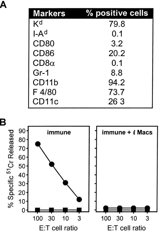 Fig. 4. iMacs cultured in vitro retain the ability to suppress CTL generation. / Gr-1+ splenocytes from mice immunized with IL-2-rVV were enriched through panning with the specific mAb, and cultured in complete medium. After 6 days, adherent cells were collected in PBS-EDTA by gentle scraping, stained with different mAbs (A), and tested for their suppressive activity (B). (A) The percentage of adherent cells positive for any given marker is reported after subtraction of background staining with isotype-control mAbs. (B) Adherent cells were added at a final concentration of 3% of the total number of cells present in β-gal peptide-stimulated cultures of splenocytes from mice previously immunized with rAd-β-gal (immune). After a 5-day incubation, cultures were assayed in a51Cr-release assay against either CT26 cells (▪) or CT26 cells pulsed with the β-gal peptide (●). E:T cell ratios are indicated.