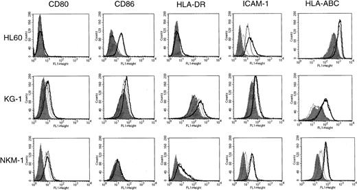 Fig. 5. Comparison of the effect of SB with IFN-γ for the induction of costimulatory molecules. / The cells were treated with 500 IU/mL IFN-γ in the presence or absence of SB for 48 hours then analyzed by flow cytometry. Closed histograms (in black) represent medium-treated cells. Open histograms with the broken line and thin line represent SB-treated and IFN-γ–treated cells, respectively. Bold line histograms represent cells treated with SB and IFN-γ simultaneously 48 hours before the assay.