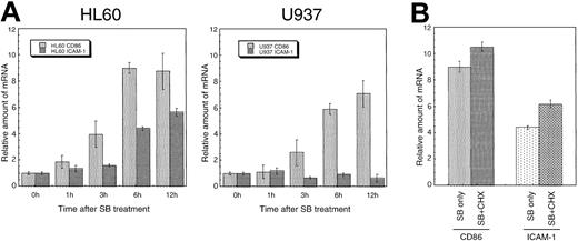 Fig. 6. Induced expression of CD86 and ICAM-1 mRNA in a cell-type–specific and time-dependent manner. / (A) HL60 and U937 cells were incubated with SB for the indicated time, and transcripts of CD86 and ICAM-1 were quantitated by real-time PCR method. Each real-time PCR was performed in quadruplicate, and the average fold induction relative to time 0 was shown with SD. (B) De novo protein synthesis is not required for the SB-induced expression of CD86 and ICAM-1 mRNA. HL60 cells were incubated for 6 hours with 0.7 mmol/L SB in the presence or absence of 10 μg/mL CHX.