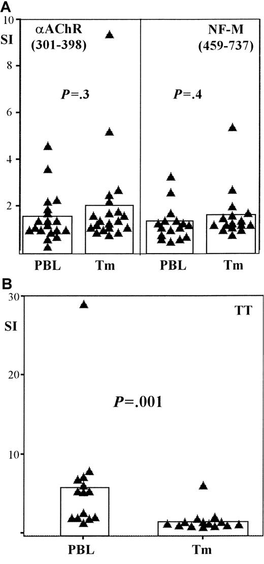Fig. 5. Autoantigen-specific T cells are present in the blood of patients with thymoma-associated MG. / Scatter-bar plots showing the proliferative responses of peripheral T cells (PBL) and intratumorous T cells (Tm) harvested from patients with thymoma-associated MG. (A) Recombinant fragments of the acetylcholine receptor α subunit (αAChR, 301-398) and of the neurofilament protein (NF-M, 459-737) are used as stimulatory antigens, whereas tetanus toxoid (TT) is used as the recall antigen in panel B. Proliferative responses are given in terms of a stimulation index (SI) (see “Materials and methods”). Each triangle represents the SI of either PBL or Tm from an individual patient; bars indicate the mean SI among either PBL or Tm for each particular antigen. Autoantigen-specific T-cell responses in PBL and Tm are similar on stimulation with either αAChR (P = .3; n = 19) or NF-M (P = .4; n = 16); TT-specific responses, however, are significantly increased among PBL compared with Tm (P = .001; n = 14).