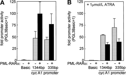 Fig. 8. Activation of the cyclin A1 promoter by PML-RARα and reversal of this effect by ATRA. / U937 cells were transiently transfected with cyclin A1 promoter-luciferase constructs and either PML-RARα expression vector or an empty vector control. Expression of a renilla luciferase expression vector was used for standardization purposes. (A) Activity of the empty luciferase reporter vector PGL3-Basic was reduced by 80% upon PML-RARα expression. In contrast, the cyclin A1 promoter constructs were activated more than 2-fold (1344-bp construct) or 1.7-fold (335-bp construct). (B) The activating effects of PML-RARα were reversed when ATRA (10−6 mol/L) was added after electroporation.