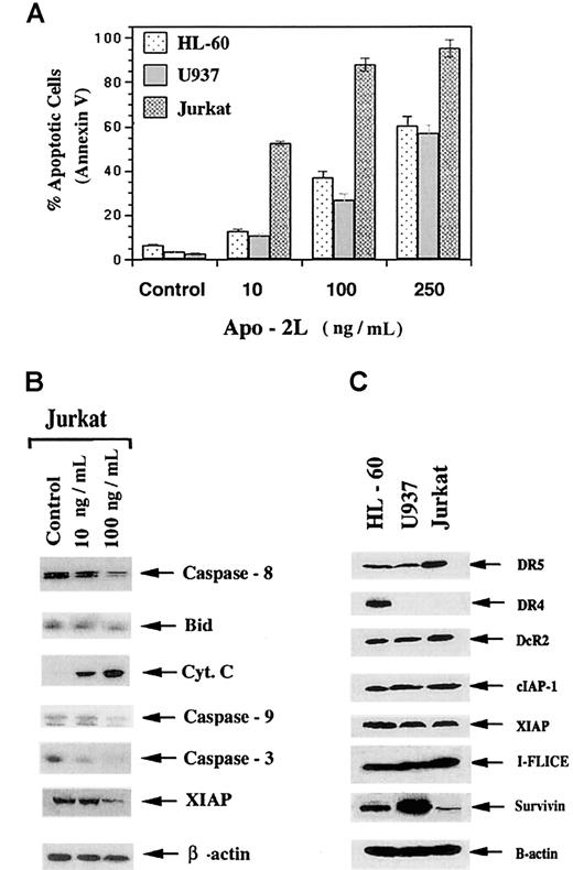 Fig. 1. Apo-2L induces apoptosis of HL-60, U937, and Jurkat cells. / Cells were exposed to the indicated concentrations of Apo-2L for 24 hours (A). Following this, the percentage of apoptotic cells were determined (see “Results”). Apo-2L induced the processing and down-regulation of caspase-8, Bid, caspase-9, caspase-3, and XIAP, as well as cytosolic accumulation of cyt c in Jurkat cells (B). Following exposure of Jurkat cells to 100 ng/mL of Apo-2L for 24 hours, cell lysates were obtained and Western analyses of the indicated proteins were performed (see “Results”). Western analyses of DR4, DR5, DcR2, cIAP-1, XIAP, I-FLICE (FLAME-1 or cFLIP), and survivin in HL-60, U937, and Jurkat cells (C).