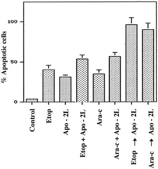 Fig. 5. Pretreatment with etoposide or Ara-C enhances Apo-2L–induced apoptosis of HL-60 cells. / HL-60 cells were exposed to etoposide (5.0 μmol/L, 6 hours), Ara-C (10.0 μmol/L, 6 hours), or Apo-2L (100 ng/mL, 18 hours), and the percentage of apoptotic cells was determined at the end of 24 hours (see “Results”). Cells were also exposed to etoposide plus Apo-2L (total 24 hours), or Ara-C plus Apo-2L (total 24 hours). Alternatively, cells were treated with etoposide (5.0 μmol/L, 6 hours), followed by Apo-2L (100 ng/mL, 18 hours) or Ara-C (10.0 μmol/L, 6 hours), followed by Apo-2L (100 ng/mL, 18 hours). Following these treatments, the percentage of apoptotic cells was determined by Annexin V staining and flow cytometry (see “Results”).