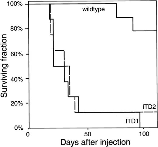 Fig. 6. Kaplan-Meier plot of the mice injected with 32D/Flt3. / The fraction of surviving mice is plotted over the time after injection. All but one mouse injected with ITD1 or ITD2 developed the disease (described in the text and in Figure 5) within 4 to 5 weeks after injection and died. Mice injected with wild-type Flt3 survived without obvious disease until day 77 and day 92, when 2 of 10 mice developed the identical disease and also died.