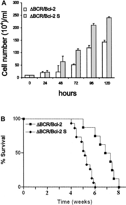 Fig. 6. Proliferation and leukemogenic potential of p185ΔBCR/Bcl-2–coexpressing 32Dc13 cells isolated from the spleen of leukemic mice. / (A) p185ΔBCR/Bcl-2 cells maintained in IL-3–free medium and cells recovered from the spleen of primary recipient leukemic mice (p185ΔBCR/Bcl-2 S) were plated at a density of 105 cells per mL in 25-mL flasks in the absence of IL-3–containing medium and counted by trypan blue exclusion at the indicated times. Results are representative of 3 independent experiments using 3 individual clones. (B) Survival of SCID mice injected with p185ΔBCR/Bcl-2 or p185ΔBCR/Bcl-2 S cells. Mice were injected intravenously with 5 × 106 cells. Eight mice were included in the p185ΔBCR/Bcl-2 group (1 clone), and 15 mice were included in the p185ΔBCR/Bcl-2 S group (5 mice for each of 3 clones).