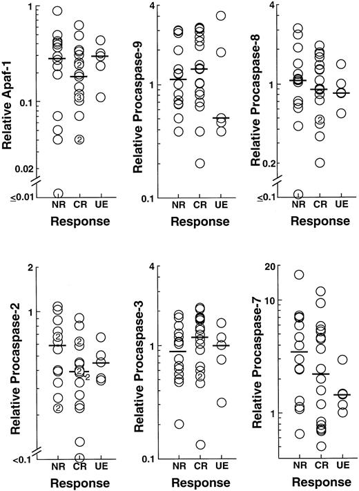 Fig. 4. Relationship between expression of Apaf-1 or procaspase-2, -3, -7, -8, or -9 and response of previously untreated patients with AML to induction chemotherapy. / From the blots shown in Figure 2, as well as 3 additional sets of blots containing 29 more AML samples, relative levels of Apaf-1 and the indicated procaspases were quantitated. The relationship between relative polypeptide content and response of patients to the first cycle of induction chemotherapy is indicated. Bars represent median peptide levels.