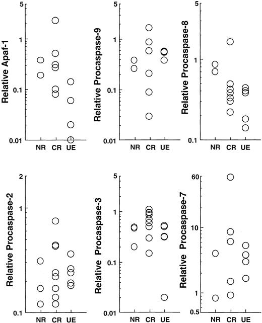 Fig. 6. Relationship between expression of Apaf-1 or procaspase-2, -3, -7, -8, or -9 and response of previously untreated patients with ALL to induction chemotherapy. / From blots like the one shown in Figure 2, relative levels of Apaf-1 and the indicated procaspases were quantitated. The relationship between relative polypeptide content and response of patients to induction chemotherapy is indicated.