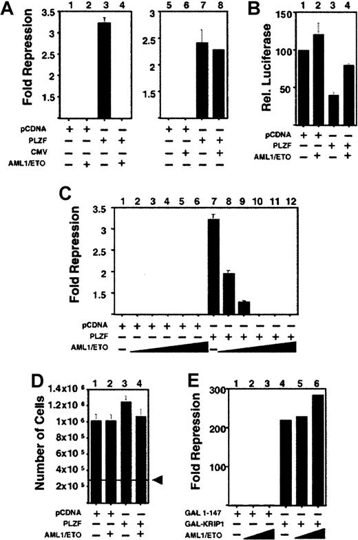 Fig. 3. AML-1/ETO antagonizes PLZF-mediated transcriptional repression in a dominant-negative fashion. / Transient transfections and reporter assays were all performed in 293T cells. (A) 293T cells transfected with the IL-3Rα reporter construct. Lanes 1-8, (12-well dishes): 400 ng each of pCDNA expression vector, pCDNA-PLZF, pCMV expression vector, and pCMV-AML-1/ETO was transfected as indicated. Results are expressed as fold repression compared to the empty expression vector. (B) Transient transfections performed in conditions similar to those described for A. In this case the results are expressed as relative luciferase activity compared to vector alone. (C) 6-well dishes: 800 ng pCDNA or pCDNA-PLZF was cotransfected with increasing doses of AML-1/ETO as follows: lanes 2 and 8, 100 ng; lanes 3 and 9, 200 ng; lanes 4 and 10, 400 ng; lanes 5 and 11, 800 ng; lanes 6 and 12, 1200 ng AML-1/ETO, respectively. (D) 293T cells were plated at a density of 2.8 × 105 in 6-well dishes and transfected with 800 ng pCDNA, PLZF, or AML-1/ETO as indicated and identical amounts of reporter and internal controls, as in C. The cells were harvested simultaneously with those used for luciferase assays and were counted. (E) 293T cells transfected with the (GAL4)5-tk-Luc reporter. Lane 1, GAL41–147 (400 ng) transfected without AML-1/ETO. Lanes 2 and 3, GAL41–147 400 ng with AML-1/ETO 200 ng and 400 ng, respectively. Lane 4, GAL4-KRIP1 (400 ng). Lanes 5 and 6, GAL4-KRIP1 (400 ng) along with AML-1/ETO 200 ng and 400 ng, respectively. (C, D, E) Fold repression was compared to vector only. The results of all graphs reflect the average of multiple experiments ± SEM.