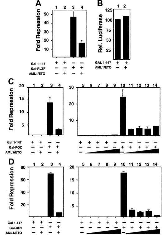 Fig. 4. AML-1/ETO antagonizes the transcriptional repression mediated by both repression domains of PLZF. / 293T cells were transfected with the (GAL4)5-tk-Luc reporter. (A) Lanes 1 to 4 (12-well dishes), 400 ng GAL41–147, GAL4-PLZF, and AML-1/ETO as indicated. Results are expressed as fold repression compared to vector. (B) Transfections identical to those in A, with results shown as relative luciferase levels. (C) Lanes 1 to 4 (12-well dishes), 400 ng GAL41–147, GAL4-BTB/POZ, and AML-1/ETO as indicated. Lanes 5 to 14 (6-well dishes), 800 ng GAL41–147or GAL4-BTB/POZ was cotransfected with increasing doses of AML-1/ETO as follows: lanes 6 and 11, 100 ng; lanes 7 and 12, 200 ng; lanes 8 and 13, 400 ng; lanes 9 and 14, 800 ng, respectively. (D) Transfections with GAL4-RD2 with identical quantities as in the experiments described in C. (C,D) Fold repression compared to vector only. The results of all graphs reflect the average of multiple experiments ± SEM.