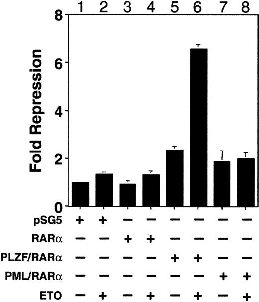 Fig. 9. ETO enhances PLZF/RARα-mediated repression of a retinoic acid response element. / 293T cells were transiently transfected with a DR5-RARE-tk-Luc reporter construct along with a tk-renilla internal control plasmid. Results are expressed as fold repression relative to the normalized basal expression of Luc by the pSG5 expression vector. Lane 1, 800 ng pSG5. Lane 2, 800 ng pSG5 and 600 ng ETO. Lane 3, 800 ng RARα. Lane 4, 800 ng RARα and 600 ng ETO. Lane 5, 800 ng PLZF/RARα. Lane 6, 800 ng PLZF/RARα and 600 ng ETO. Lane 7, 800 ng PML/RARα. Lane 8, 800 ng PML/RARα and 600 ng ETO.