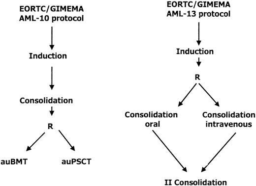 Fig. 1. Treatment design in 2 protocols for treatment of acute myeloid leukemia (AML). / The AML-10 protocol included patients aged 18 to 60 years, whereas only patients older than 60 years were included in the AML-13 protocol.