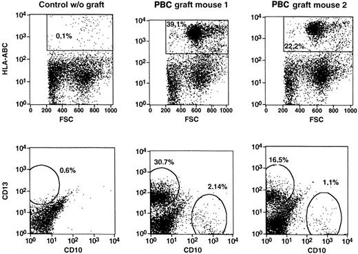 Fig. 1. Human progenitor cells from peripheral and cord blood initiate a lymphomyelopoiesis in NOD/SCID mice. / Single-cell suspensions were prepared from bone marrow of NOD/SCID mice transplanted with CD34-enriched PBCs or light-density CBCs, incubated with fluorescence-tagged monoclonal antibodies directed to human cell surface antigens, and analyzed by flow cytometry. Dot-plot analyses of dual marker-labeled cell preparations were performed. The percentages given in the panels represent the percentage of cells in the total ungated population (10 000 events). Representative analyses of the experiments in Table 1 are shown.
