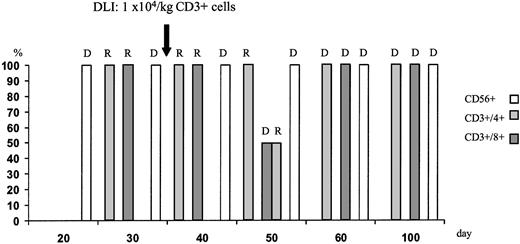 Fig. 2. T-cell chimerism following haploidentical STC and DLI on day +43 monitored by STR-PCR analysis of FACS-sorted cell populations. / Neutrophils and NK cells were of pure donor genotype. After DLI, the allelic pattern of CD3+ cells changed to mixed chimerism and subsequently to complete donor genotype. R indicates recipient; D, donor.