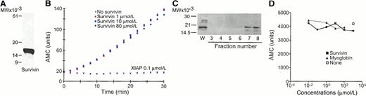 Fig. 1. Survivin does not inhibit caspase-3 activity. / (A) SDS gel electrophoresis of purified mouse recombinant survivin. (B) Effect of murine survivin or human XIAP on caspase-3 activity by hydrolysis of the fluorogenic substrate, DEVD-AMC. (C) Western blotting of immunoaffinity-purified human survivin isolated from Jurkat T cells by chromatography on α-survivin-sepharose. (D) Effect of native human survivin on caspase-3 activity by hydrolysis of the fluorogenic substrate, DEVD-AMC. W, whole cell extracts.