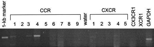 Fig. 1. Expression of chemokine receptor mRNA in platelets. / PCR analysis was performed using primers against the chemokine receptors CCR1-9, CXCR1-5, CX3CR1, and XCR1 with GAPDH as a housekeeping probe.