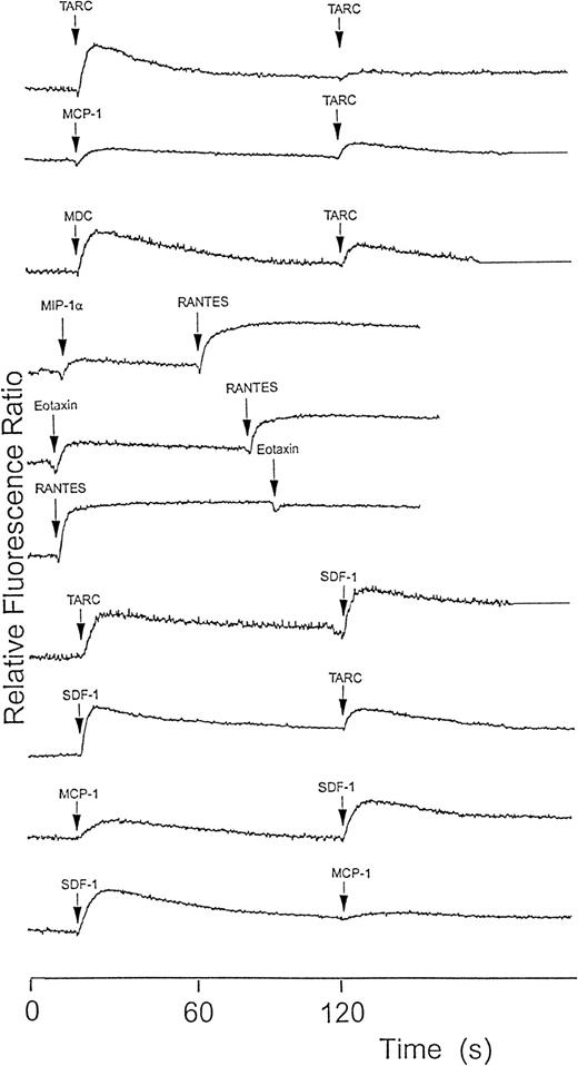 Fig. 4. Platelet cytoplasmic Ca++ response to various chemokines measured using fura-2 fluorescence. / Washed platelets (108/mL) were loaded with fura-2 and then activated with 100 nmol/L chemokine. When the signal had returned to baseline or stabilized (generally at 2 minutes) either a second dose of the same chemokine or of another one was added. Partial mutual desensitization of the Ca++ signal response by chemokines using different receptors was observed but was almost complete when the same chemokine was used twice or when chemokines with the same receptor were used. The results shown are typical of at least 3 similar experiments.