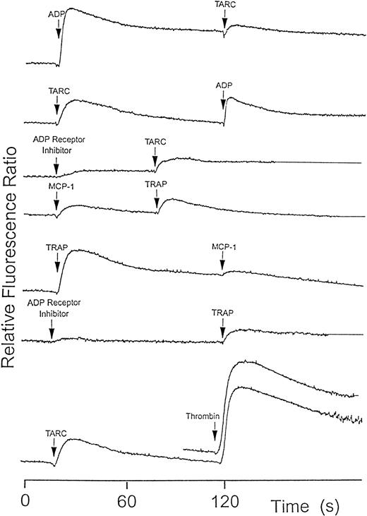 Fig. 6. Platelet cytoplasmic Ca++ response to various agonists measured using fura-2 fluorescence. / Several agonists such as ADP (10 μmol/L), TRAP (1 μmol/L), and thrombin (0.05 U/mL) caused a partial reduction in a second chemokine-induced signal or vice-versa. The ADP receptor inhibitor, AR-C66096 (100 nmol/L), also caused a partial but not complete inhibition of Ca++ signaling by chemokines and the other agonists. The signals were lower but not cross-desensitized in the presence of apyrase (5 U/mL, not shown). The results shown are typical of at least 3 similar experiments.