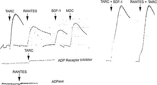 Fig. 8. Aggregation response of platelets to chemokines alone and in presence of ADP receptor inhibitor AR-C66096 or ADPase. / In the upper left series, washed platelets (5 × 108/mL) were treated with 100 nmol/L TARC, RANTES, SDF-1, or MDC, respectively. In the upper right series, washed platelets (5 × 108/mL) were treated with a mixture of 100 nmol/L each TARC plus SDF-1 or RANTES plus TARC, respectively. No signal addition was seen when the same doses were given successively (Figure4). In the lower 2 aggregation profiles, washed platelets were treated with 100 nmol/L TARC in the presence of 100 nmol/L ADP receptor inhibitor (AR-C66096) or (bottom profile) with 100 nmol/L RANTES in the presence of 5 μmol/L apyrase. The results shown here are representative of at least 3 similar experiments.